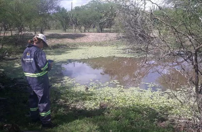 19 GD's TOCANTINS E BAHIA - LICENCIAMENTO AMBIENTAL; ASV; CAR; PRÉ-VIABILIDADE; ETC