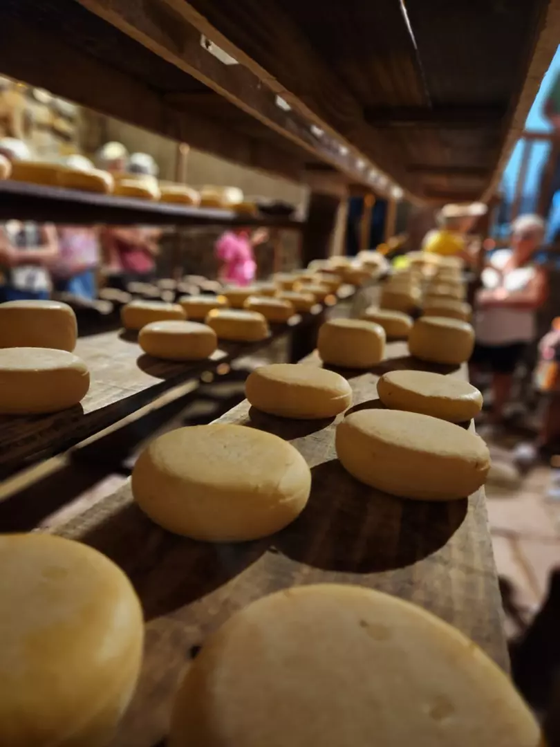 Tradição e modernidade: Rota do Queijo em Valença é mais uma excelente opção de roteiro turístico no Vale do Café