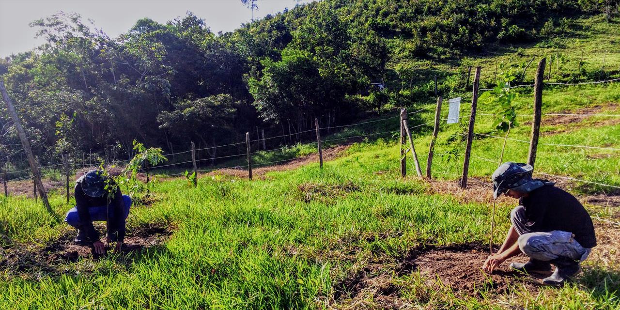 Recuperação Ambiental