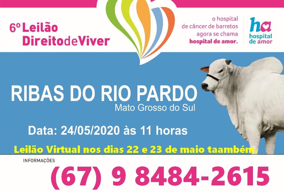 Leilão Virtual em prol do Hospital de Amor começa nesta sexta-feira em Ribas