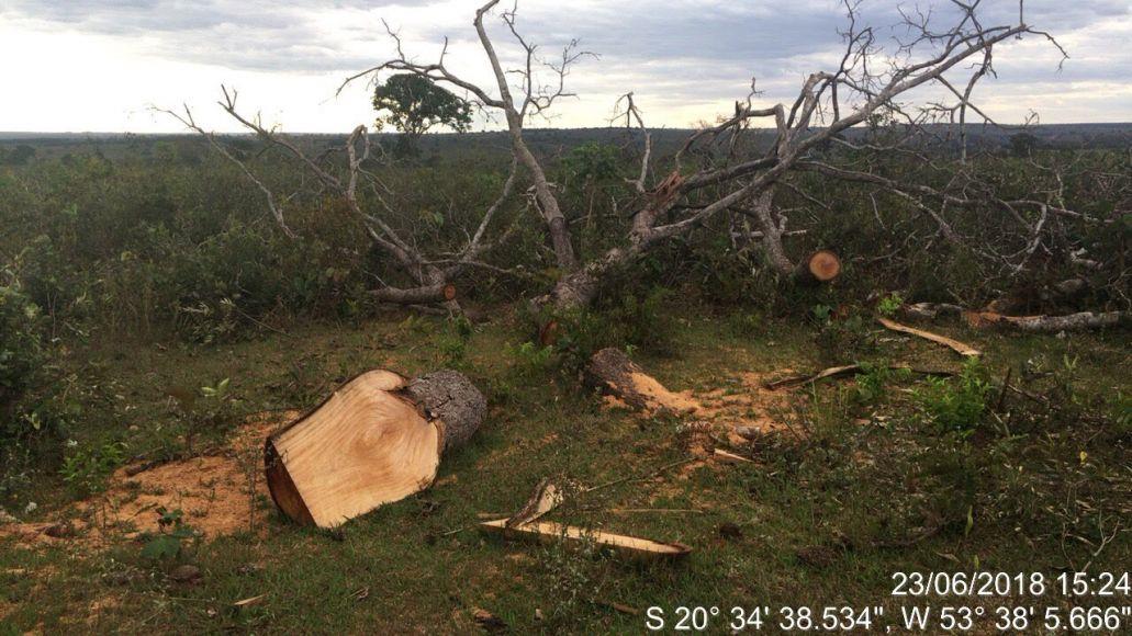 Em Ribas do Rio Pardo fazendeiro é multado em R$ 278 mil por desmatamento ilegal de 258 hectares