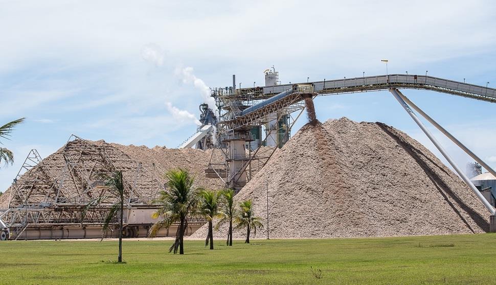 Queima de cavaco: Semagro anuncia construção de Usina de Biomassa em Ribas do Rio Pardo