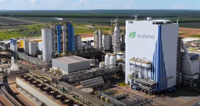 Suzano: gigante do agro brasileiro amplia investimentos em 2023