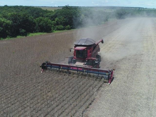 Ribas dobra área plantada de soja ao adotar rotação com pastagens