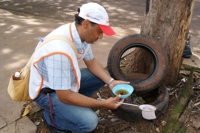 Surto de dengue em MS atinge Ribas e outras 35 cidades com 15 mil casos