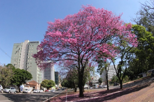 Veja quais os municípios de MS nas rotas estratégicas do turismo no Brasil