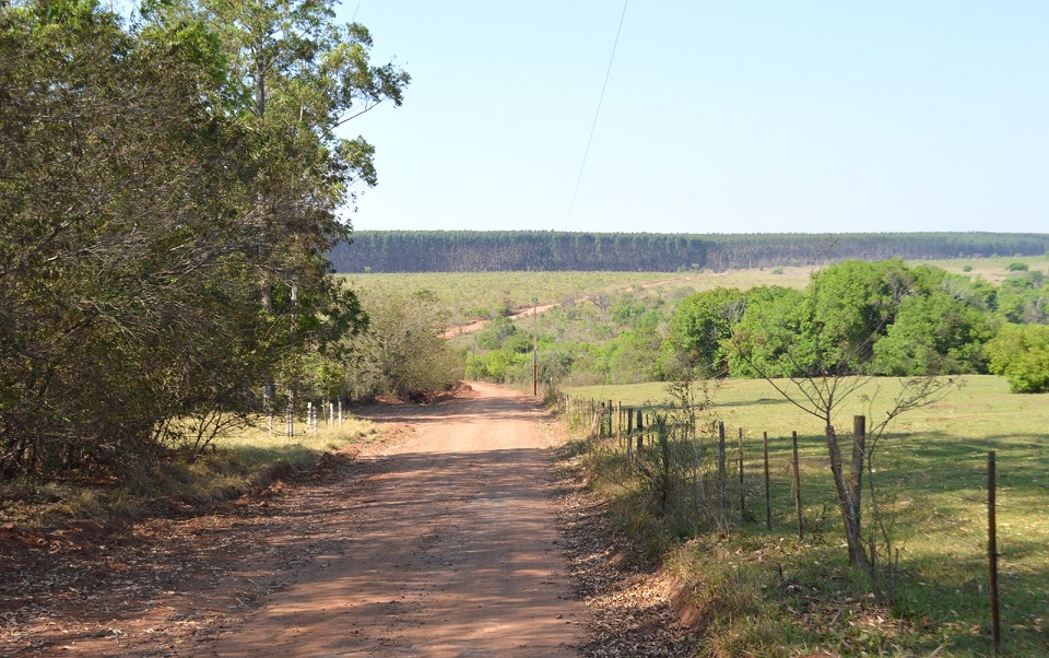 Proprietário rural precisa se recadastrar para manter desconto na energia elétrica