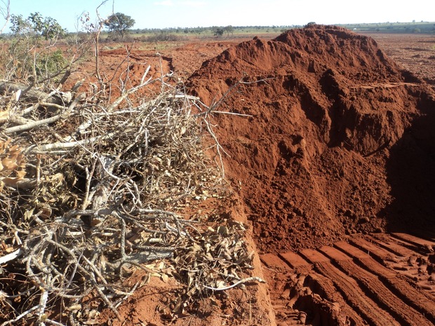 Dono de fazenda em Ribas é multado em R$ 20 mil por enterrar madeira ilegalmente