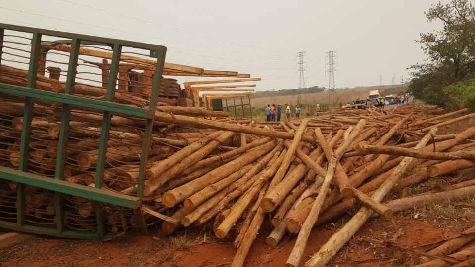 Carreta com eucaliptos tomba e interdita rodovia entre Água Clara e Três Lagoas