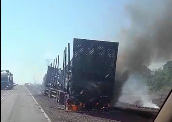 Vídeo: carreta carregada com eucalipto fica destruída após pegar fogo na BR-262