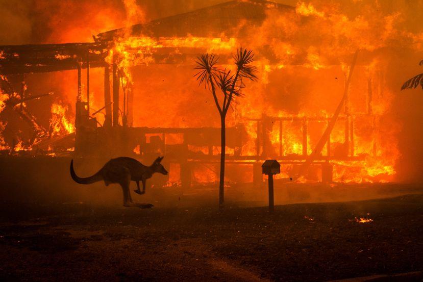 Usar a tecnologia para manter as luzes acesas também pode impedir incêndios