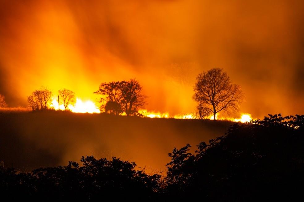 Campanha de Prevenção a Incêndios Florestais 2020 | Reflore |