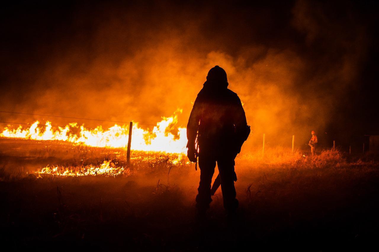 Presos vão ser treinados para ajudar a combater incêndio no Pantanal de MT