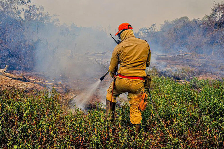 No Pantanal: Bombeiros fazem teste com uso de retardantes para combater incêndios