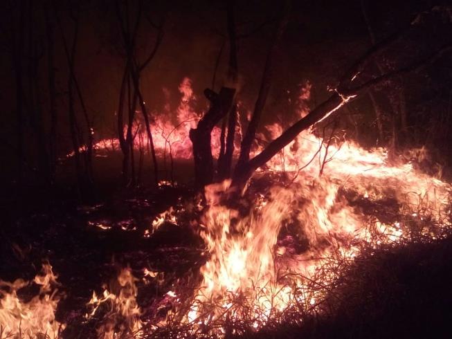 Minas já registra quase 9 mil incêndios neste ano, 30% mais do que em 2018