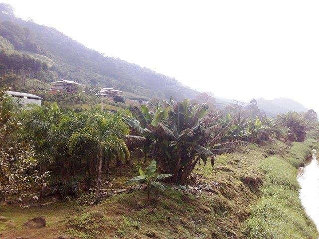 Responsabilidade Sócio-Ambiental