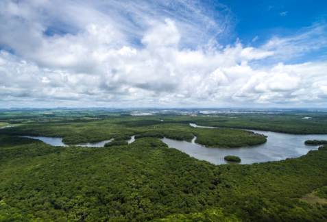 Monitoramento Ambiental