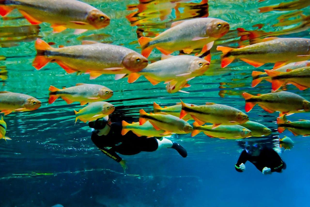 Bonito: Melhor Destino de Ecoturismo do Brasil pela 16ª vez