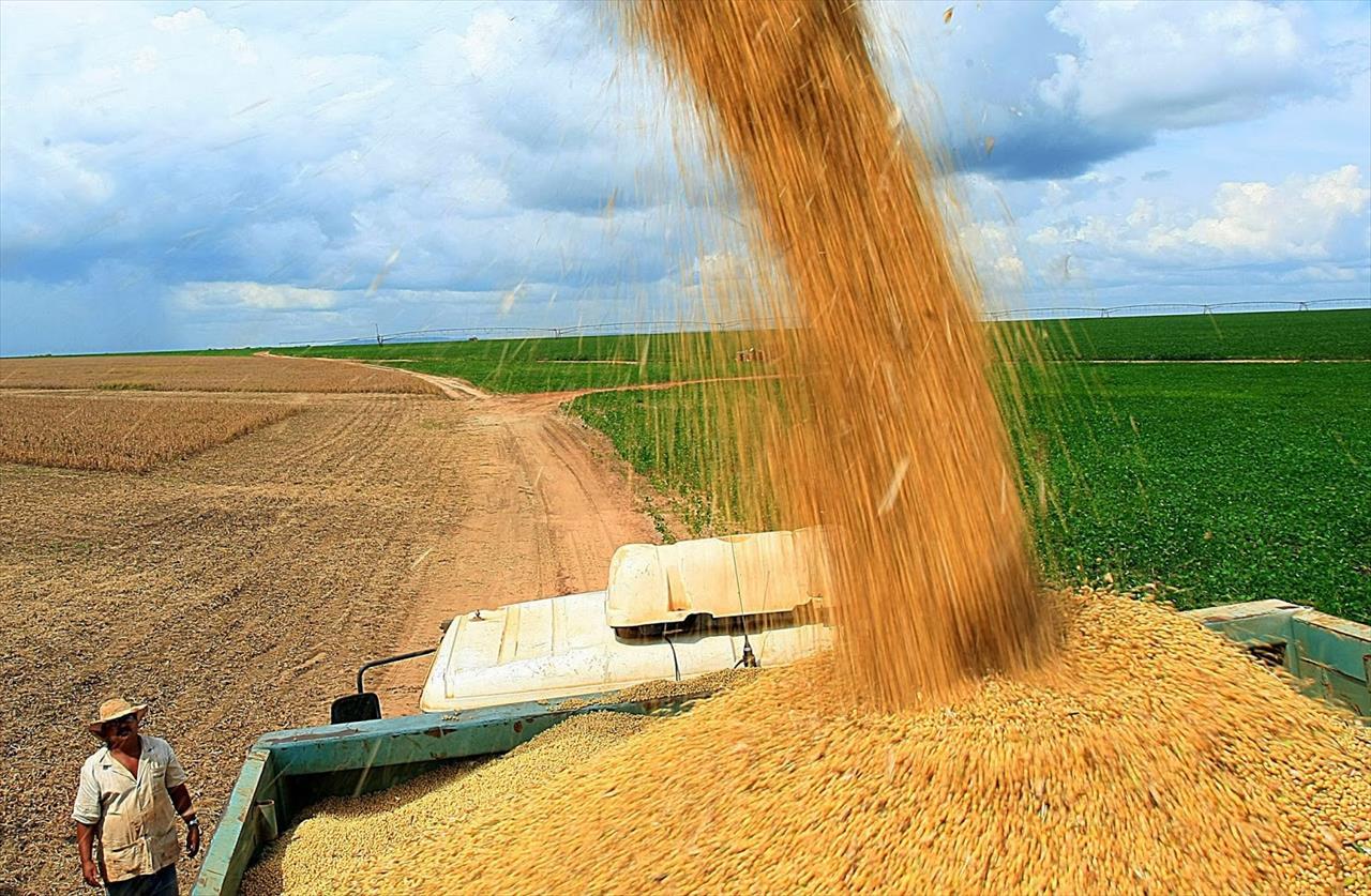 Aumento do plantio de soja do Brasil em 20/21 será o maior em 6 anos, diz Arc Mercosul