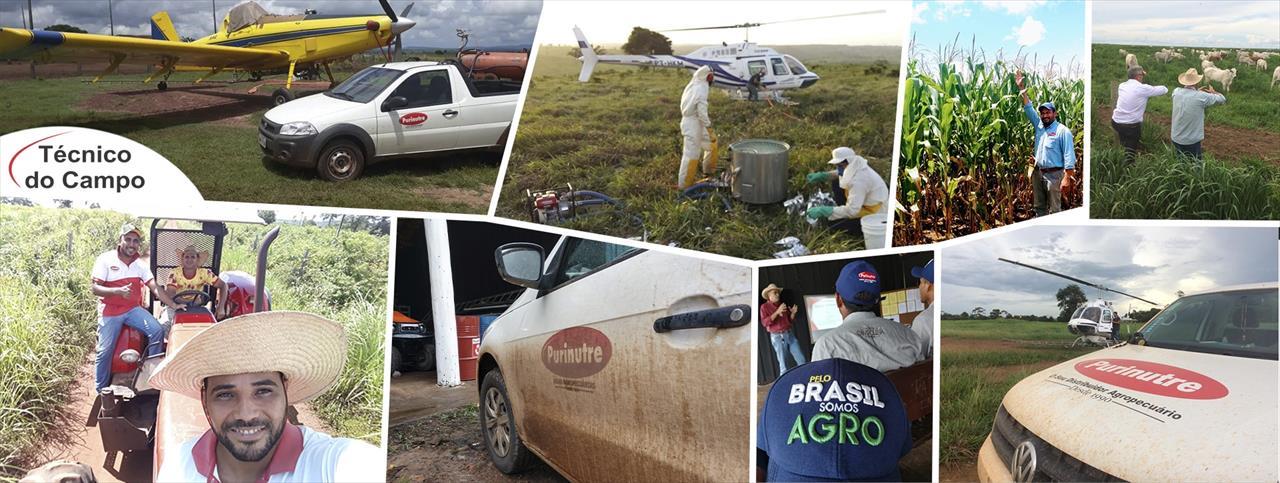 PROJETO TÉCNICO DO CAMPO