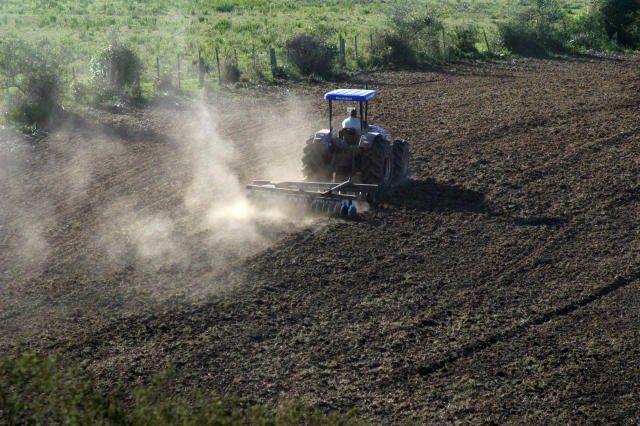 Crédito Agrícola - Governo amplia investimentos para pequenos e médios produtores rurais