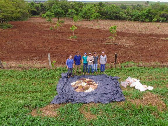 Rede de Sementes do Xingu realiza os primeiros plantios na região