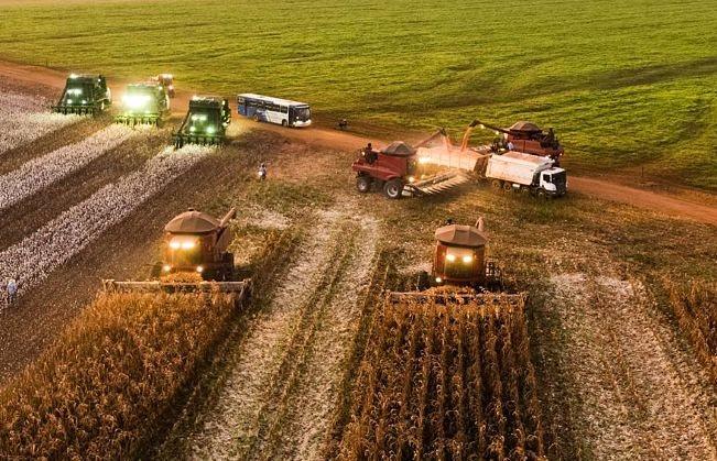 Empresa do ramo do agronegócio abre vaga para Técnico de Segurança do Trabalho em Bom Jesus do Araguaia