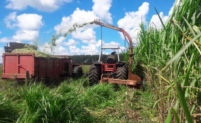 Pronaf - Projetos de crédito da Empaer viabilizam R$ 54,6 milhões para agricultores de 132 municípios