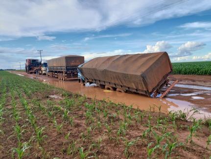 Chuva destrói pontes e produtores perdem leite e grãos em MT