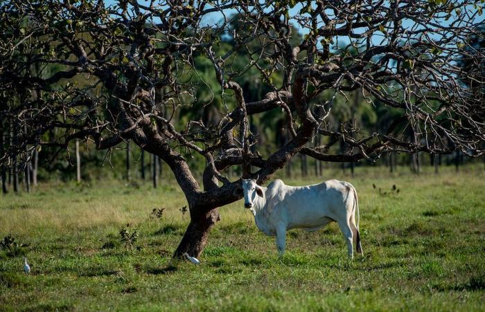 Produtores rurais serão credenciados para emissão de nota fiscal eletrônica