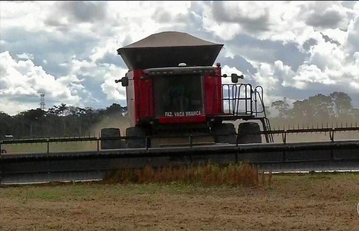 Com grandes safras, produtores de grãos de MT apostam na construção de silos