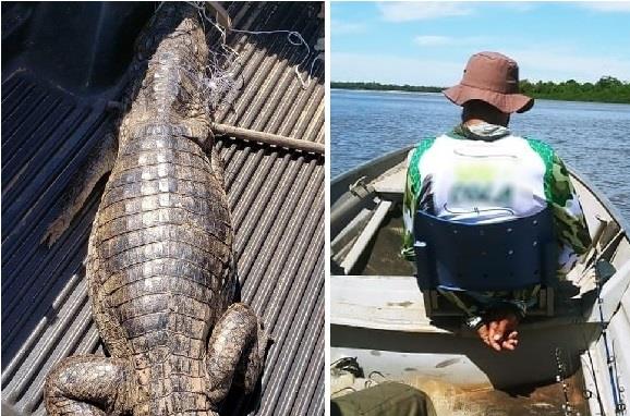 Caçadores são detidos após abaterem jacaré de 4 metros no Rio Araguaia