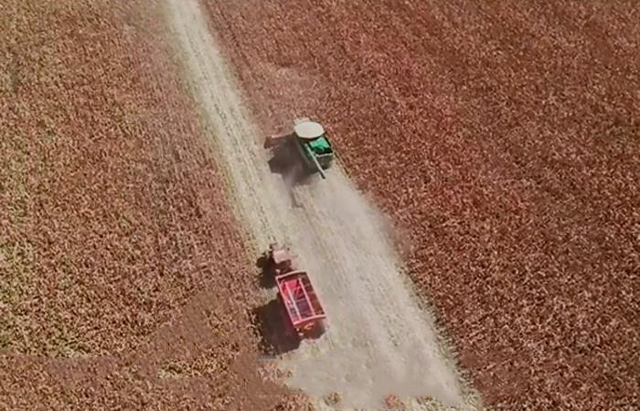 Série 'Araguaia, Um Rio no Coração do Brasil' - Equilíbrio na produção agrícola beneficia Rio Araguaia