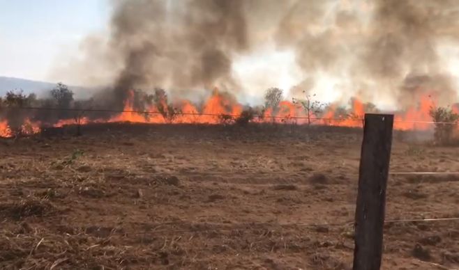 Campinápolis - Fogo em terra indígena se alastra e deixa prejuízo de um milhão na fazenda Lagoa Bonita (vídeo)