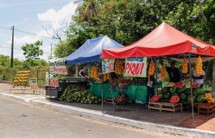 Pequeno produtor rural poderá emitir nota fiscal pela internet