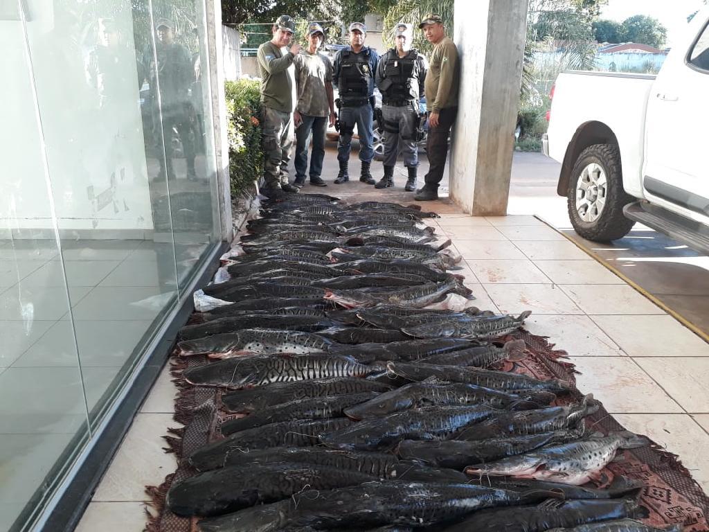 Sema apreende 200 Kg de pintado e cachara em Santo Antônio do Leverger