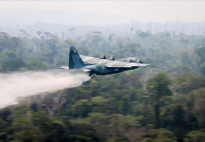 Sete estados já pediram apoio federal para combater queimadas