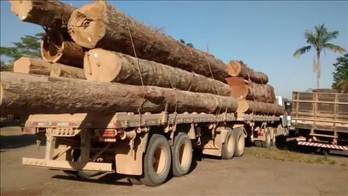 Triunfo, Polícia Ambiental apreende madeira irregular no Distrito de Triunfo O motorista foi apresentado à Central de Flagrantes em Porto Velho