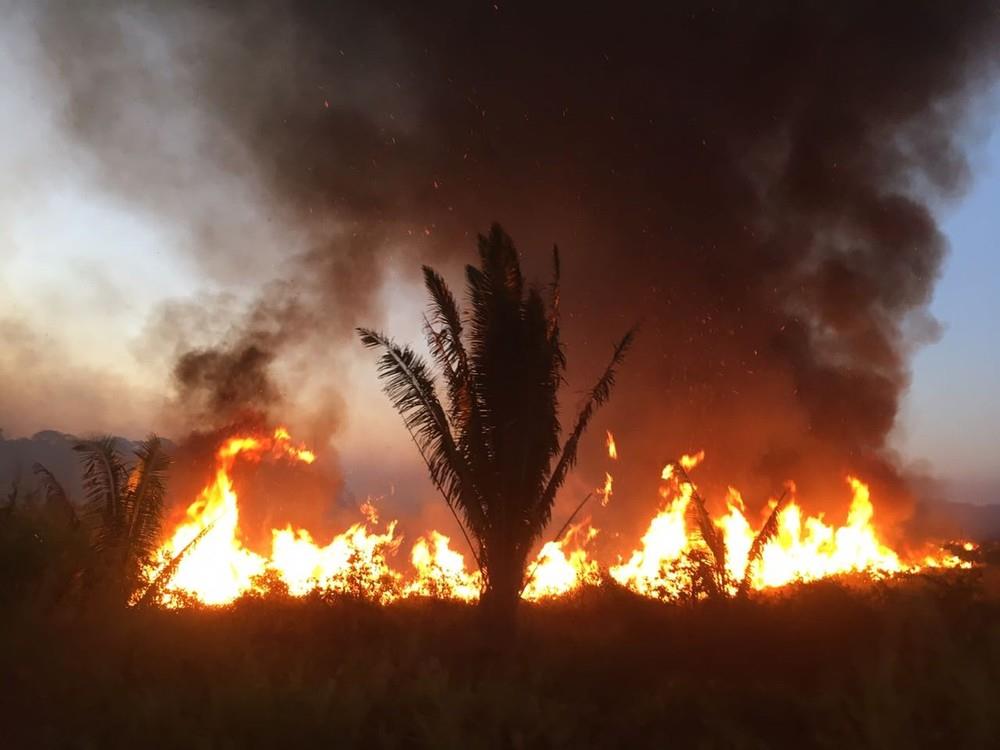 Focos de calor em RO crescem mais de 90% nos 4 primeiros meses de 2019, diz Inpe