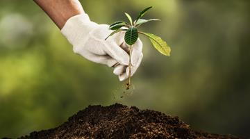 Implantação do Projeto de Educação Ambiental