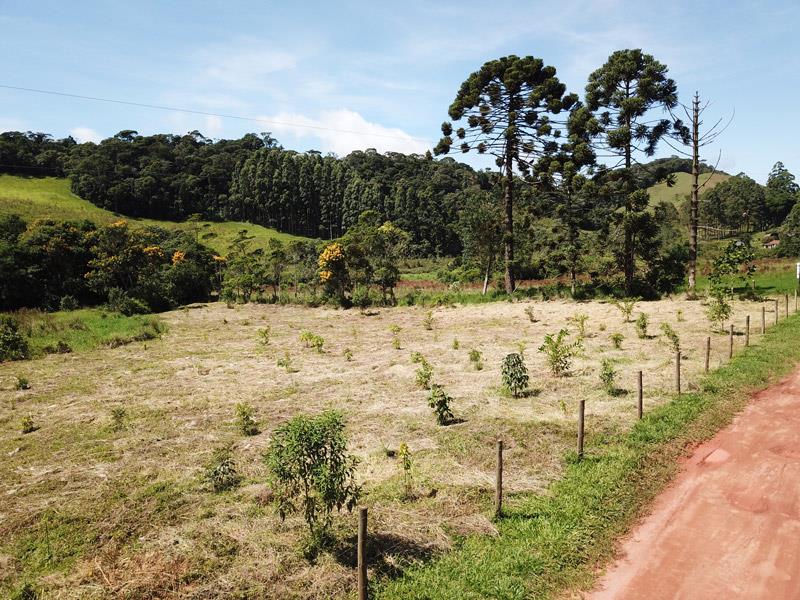 Implantação de Projetos