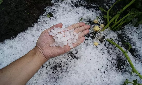 Minas Gerais tem 470 cidades, inclusive Manhuaçu e região, em alerta para chuva de granizo