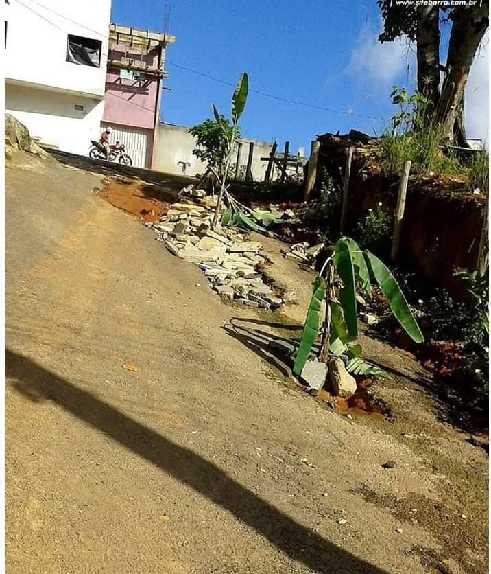 MORADORES REVOLTADOS PLANTAM BANANEIRAS NOS BURACOS DA RUA DE BARRA DE SÃO FRANCISCO. A REVOLTA SE DAR POR CONTA DE MUITOS BURACOS PELA CIDADE