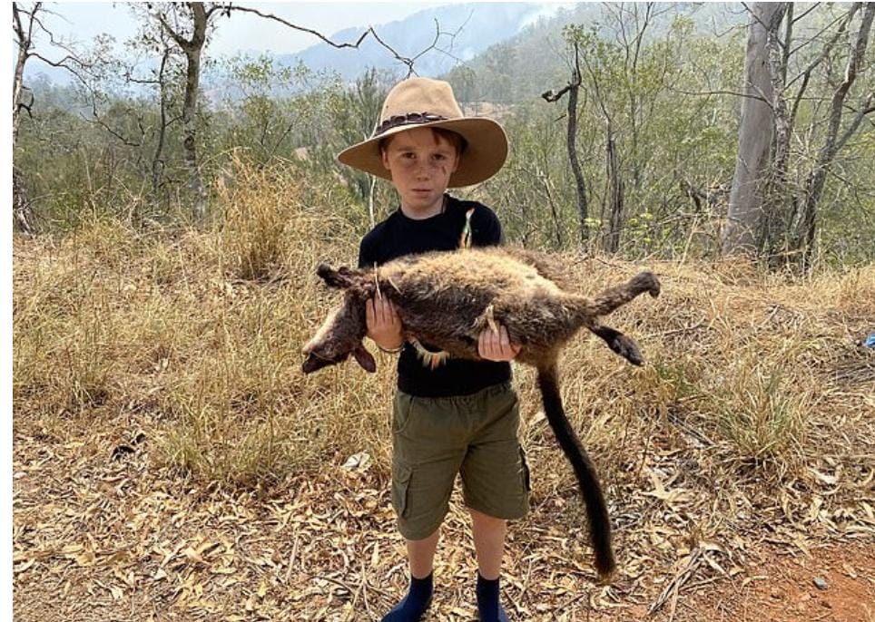 Foto de menino de sete anos segurando corpo de um wallaby morto simboliza tragédia na Austrália