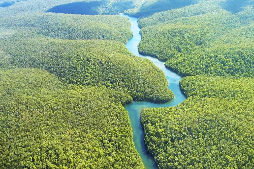 Governo reativa fundo Amazônia e Alemanha repassa R$ 200 milhões