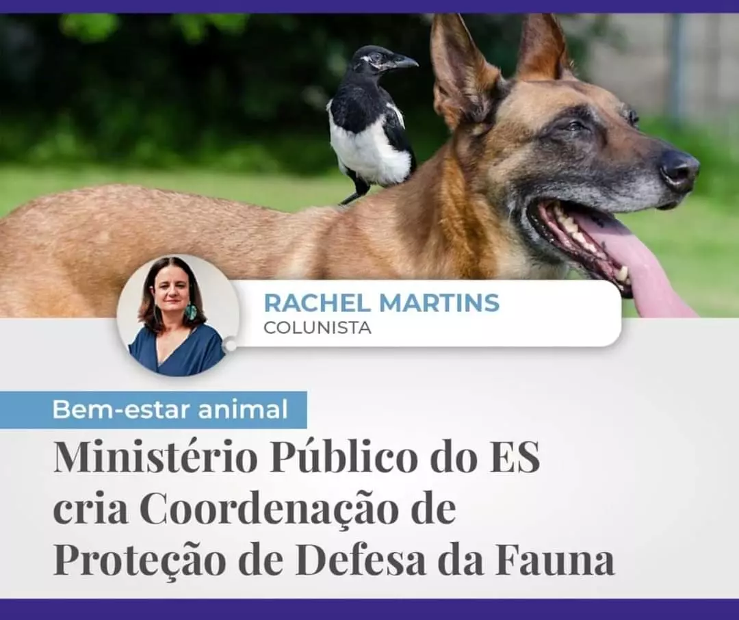 MP do Espírito Santo cria Coordenação de Proteção de Defesa a Fauna