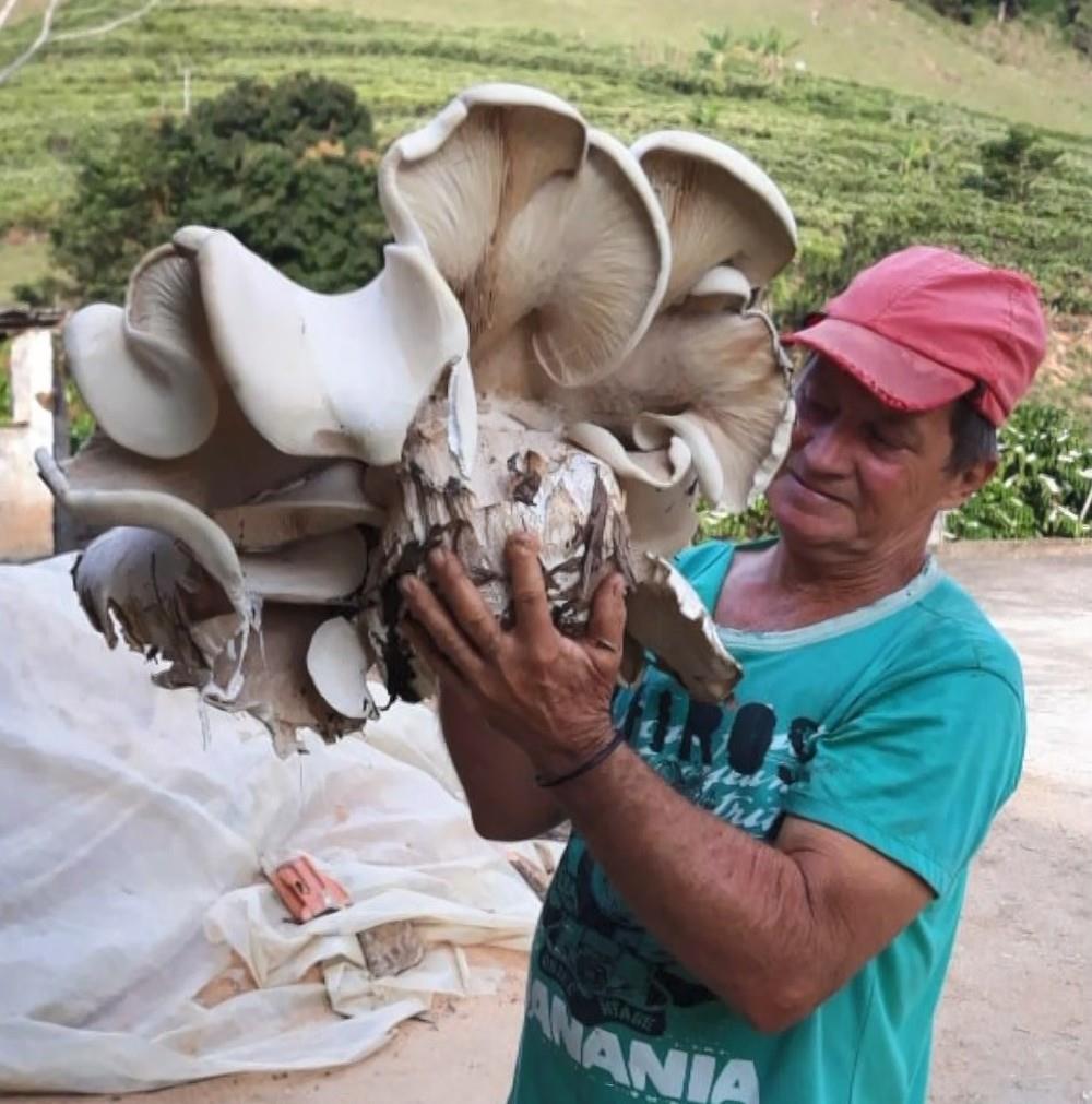 Produtor rural encontra cogumelo ‘gigante’ de 5kg no ES