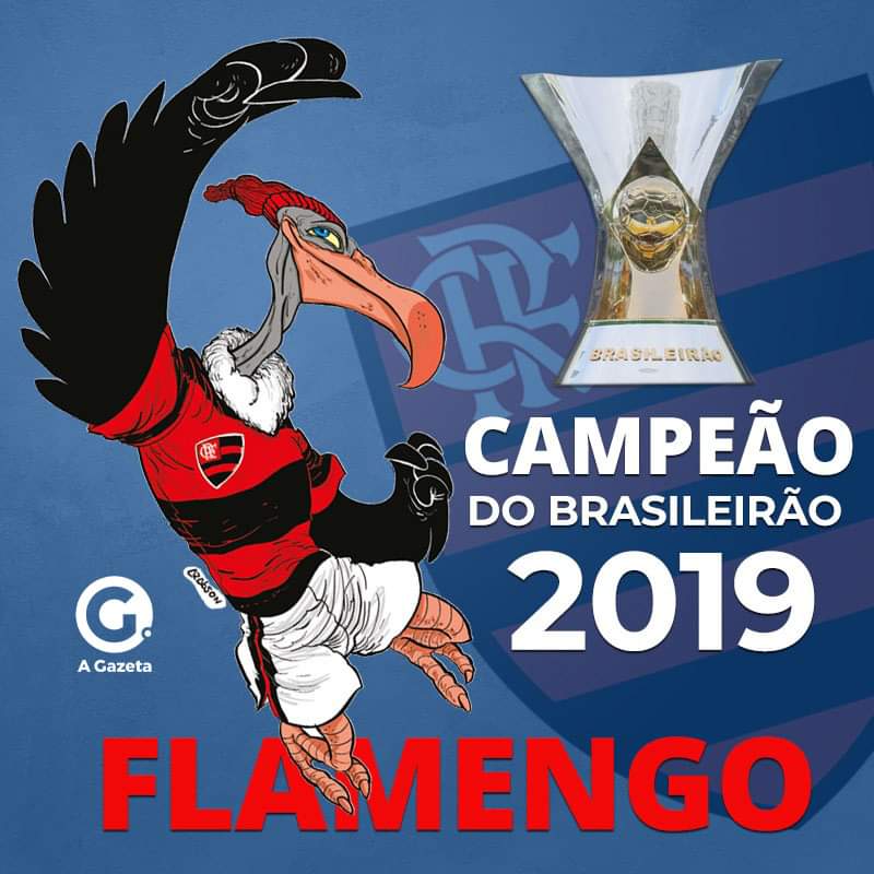 FLAMENGO É CAMPEÃO BRASILEIRO 2019