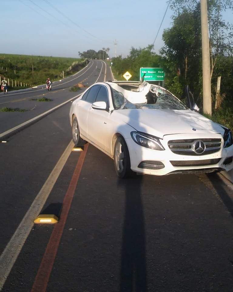 Cavalo solto na pista causa acidente com mercedes de médico em Jaguaré