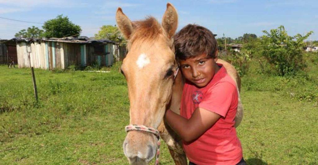 Menino pede ‘milho’ ao Papai Noel para o seu cavalo e comove